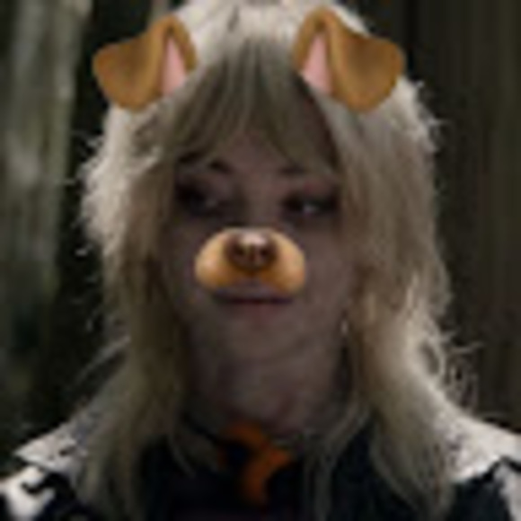 tayloryorkie